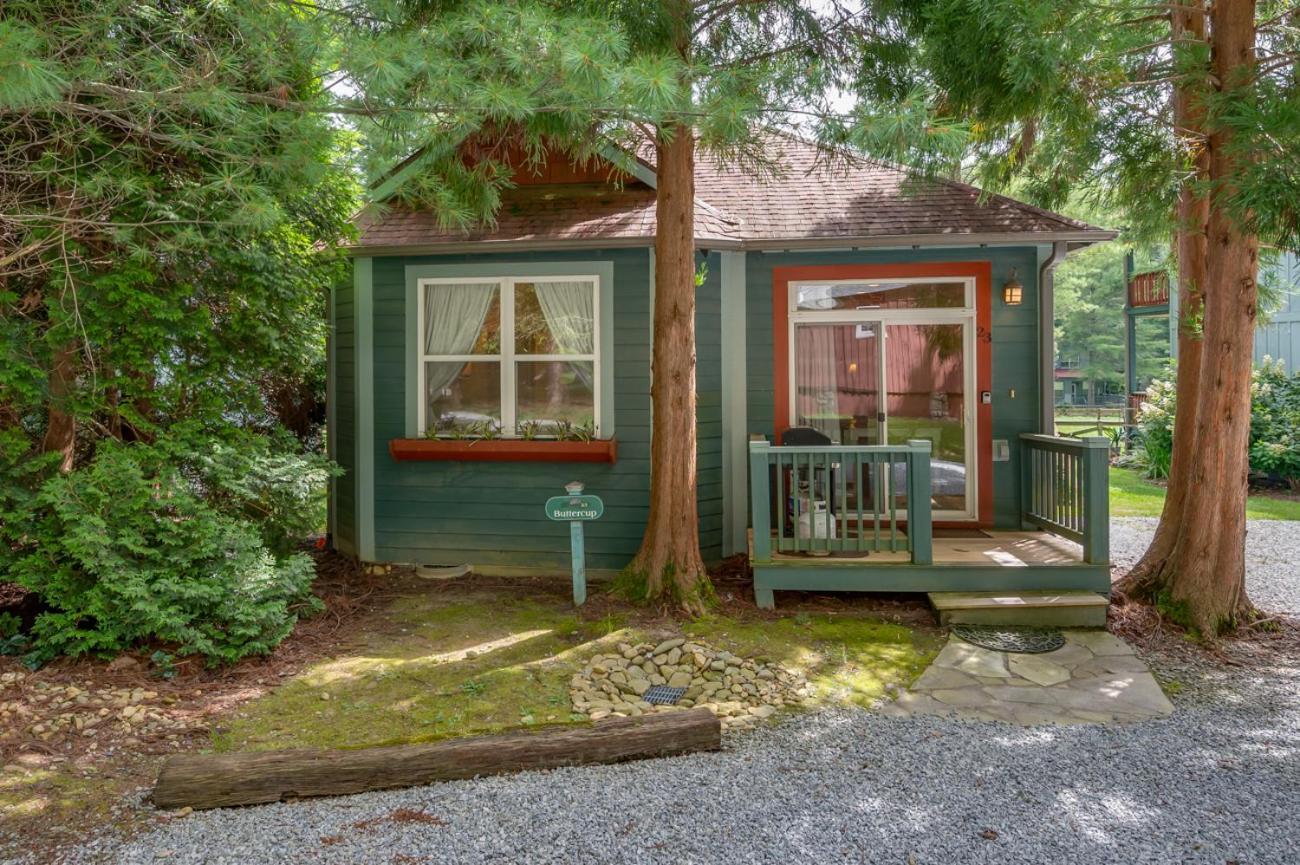 Buttercup Cottage Asheville Exterior photo