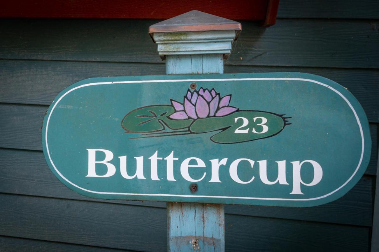 Buttercup Cottage Asheville Exterior photo